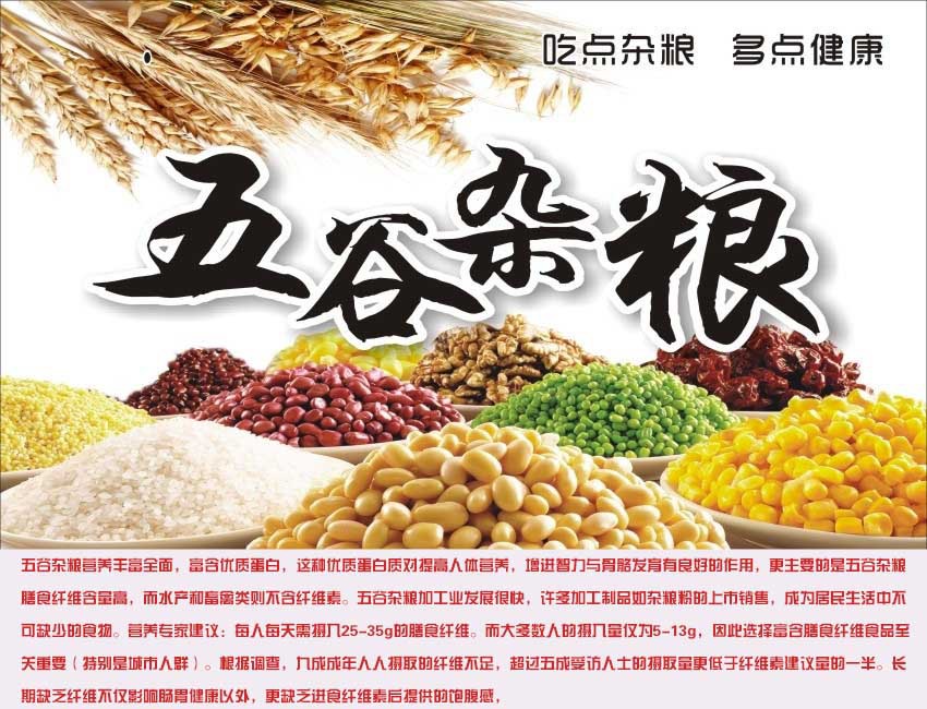 黑龍江灰扁豆 東北特產(chǎn)，天然鳥食與優(yōu)質(zhì)食品代理之選